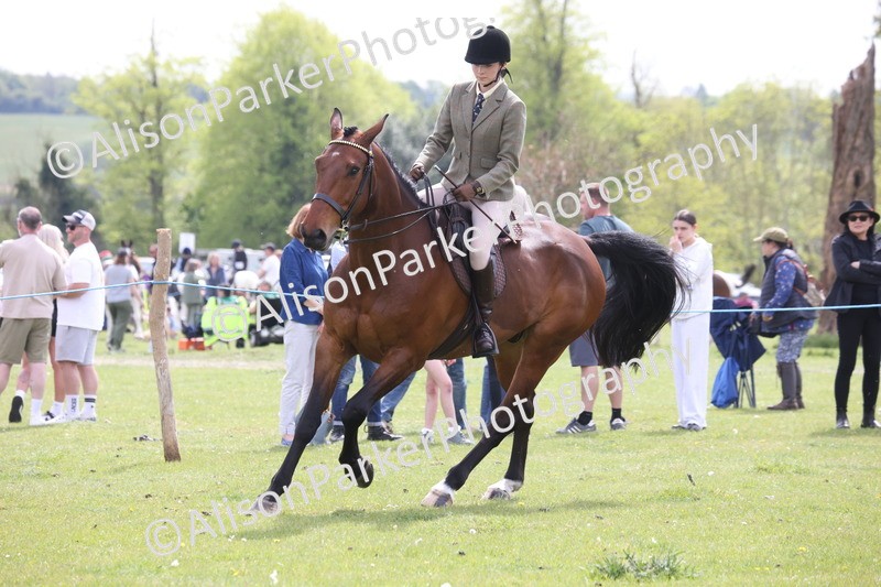 20260426-4408 - Class 34 - Best Riding Horse Over 14.2hh