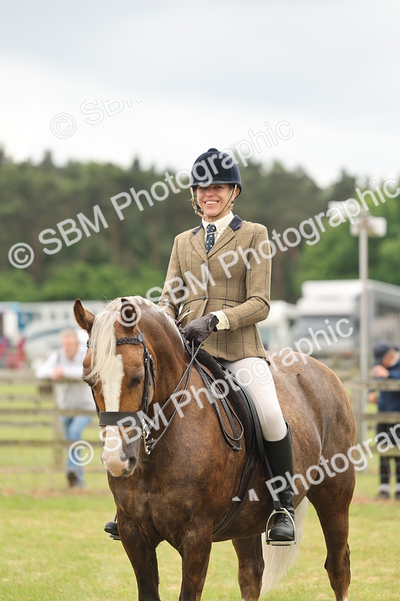 SBM_07251 - Class 76-77 - Ridden M&M Welsh Ponies