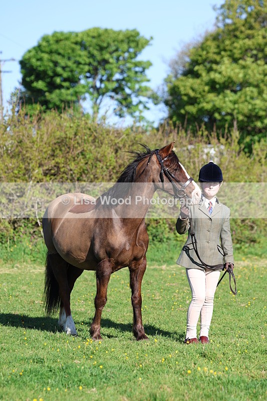 3E7A8410 - Class 12: M & M Small Breeds