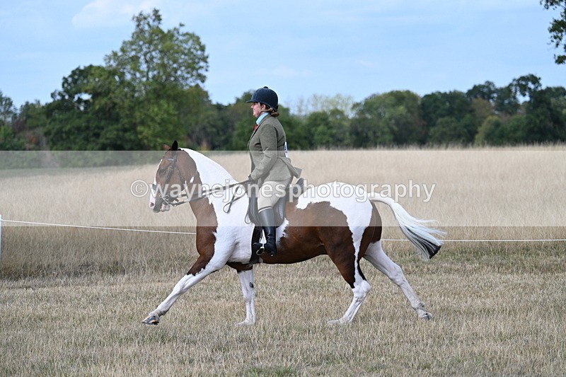 WJ7_7299 - Class 14 Ridden Coloured