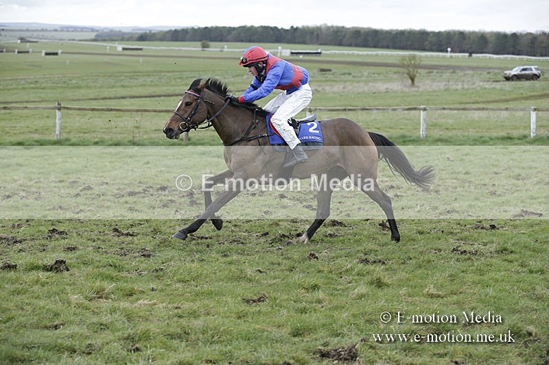 PtP 150320 0942 - New Forest Point-to-Point Larkhill 15/03/20