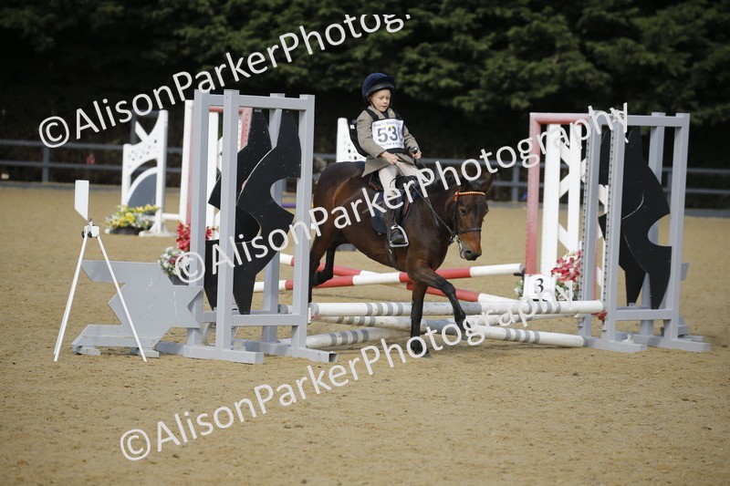 20250622-1607 - 40cm