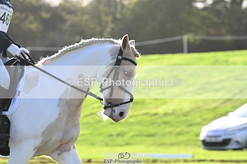 241025-154320-10325 - 465-Clare.Pascoe-MR.QUINN
