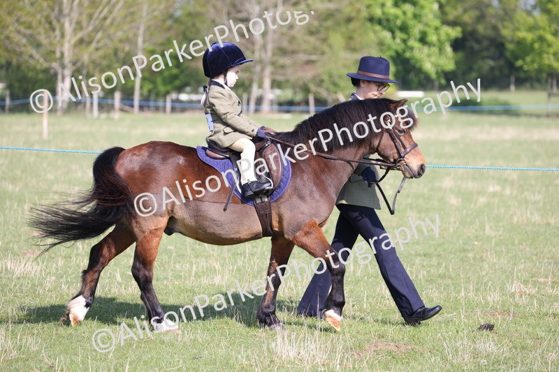 20250427-0096 - Class 30 - Tiny Tots Lead Rein