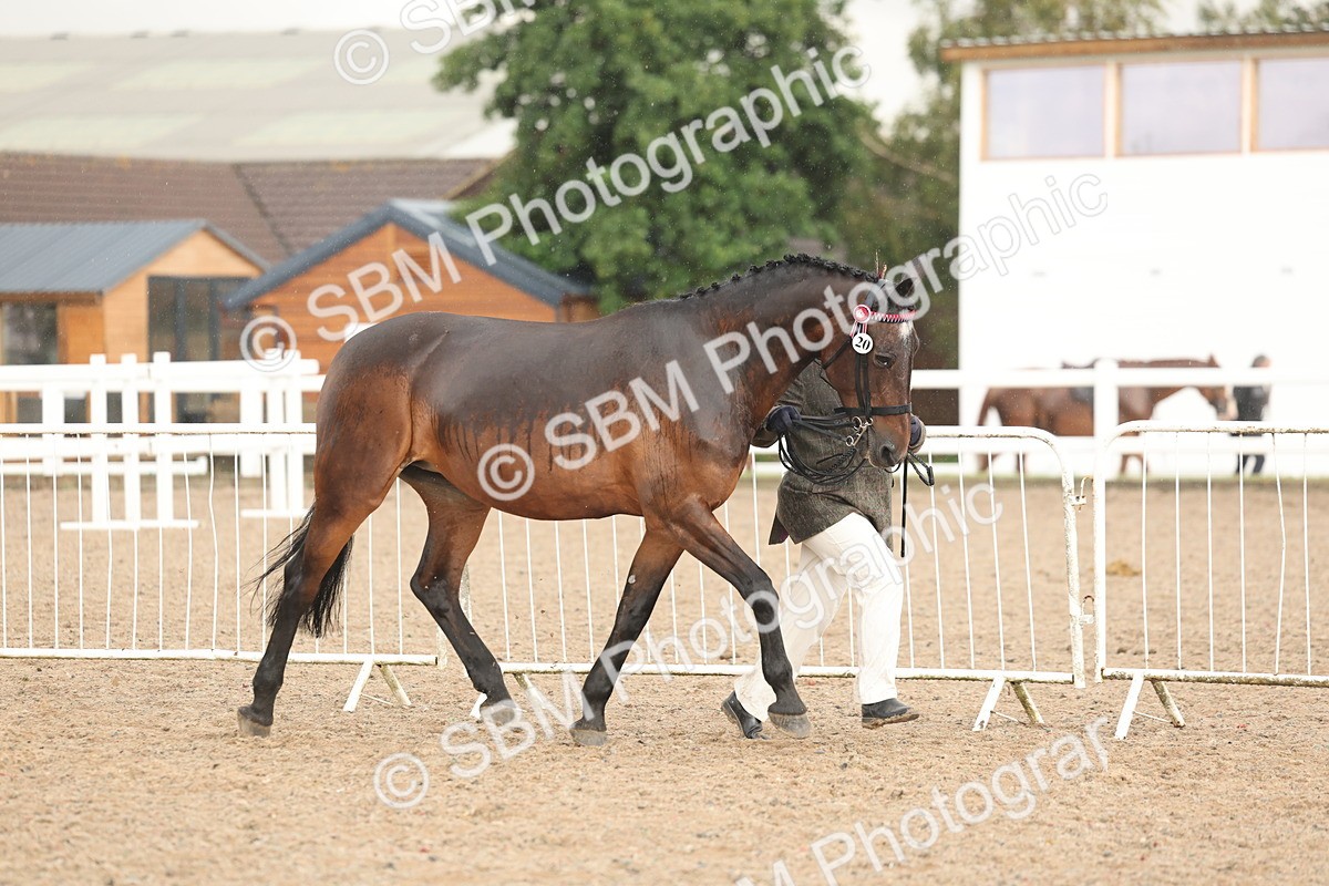 SBM_07756 - Class 27 - IH Competition Horse/Pony