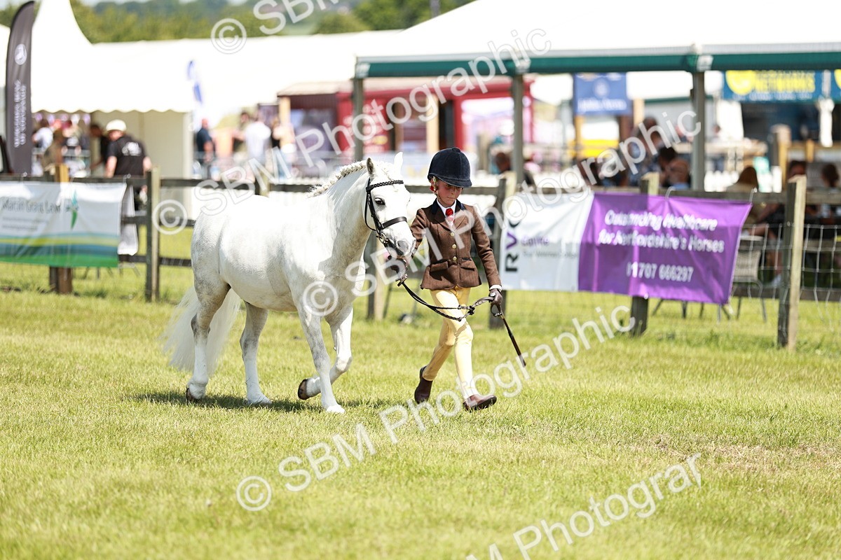 SBM_13575 - Class 108-109 - BSPS LIHS Open Gradle & Nursery Stakes