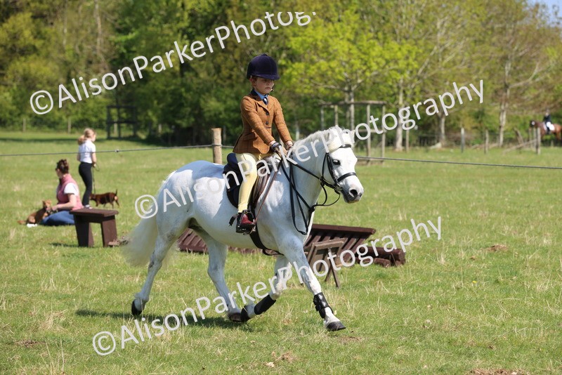 20250427-2480 - Class 19 - Mini Working Hunter