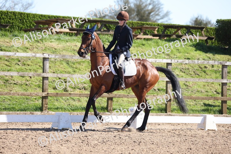 20260318-0509 - Class 5 - Novice 2