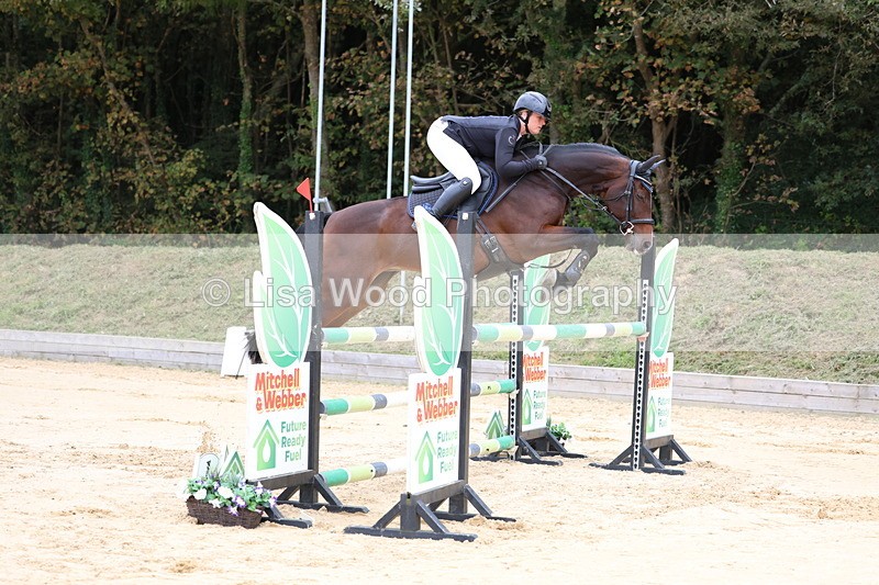 3E7A3374 - Class 9: Senior Foxhunter/1.20 open