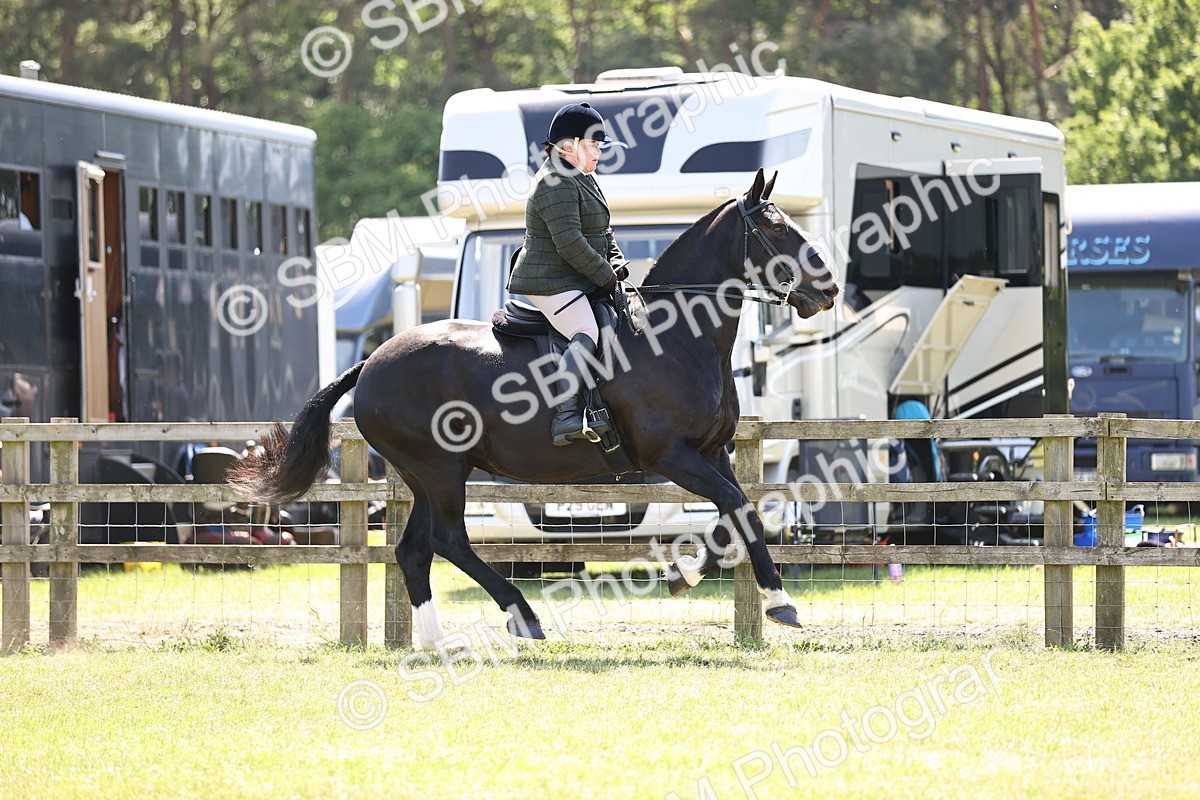 SBM_17838 - Class 81-83 - TSR Ridden Amateur of the Year - Horses