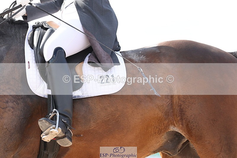 240622A-173441-14912 - Cls 38 BD FEI PSG