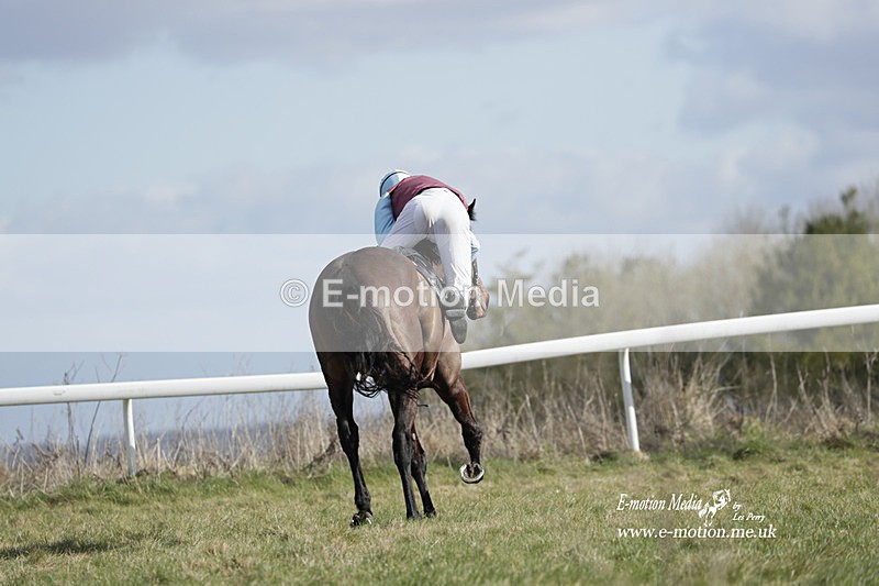 PtP 260223 524 - South & West Wilts Point-to-Point Larkhill 26/02/23
