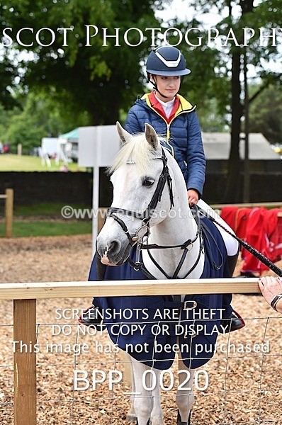 BPP_0020 - RHS 2019 Selection - *Just some random spectator shots so Lucky Dip if you are there!