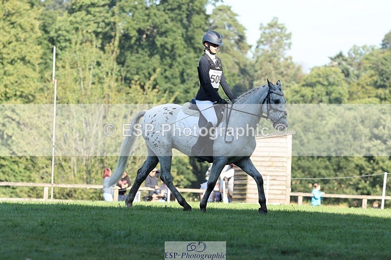 250823A-090434-25846 - Arena D