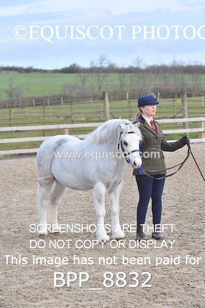 BPP_8832 - RING 2 - M&M