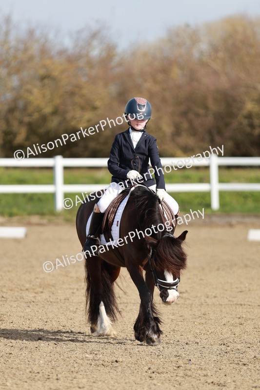 20260314-0115 - CT1 - Intro 1