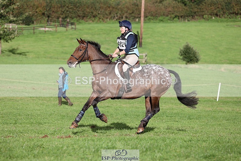 231021-150253-20060 - 482-ODDSPOT.VITAL.ELEMENT-Danielle.Davies-SC+XC