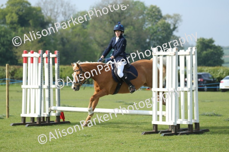 20260426-0163 - Class 13 - Rookie Jumping 50cm