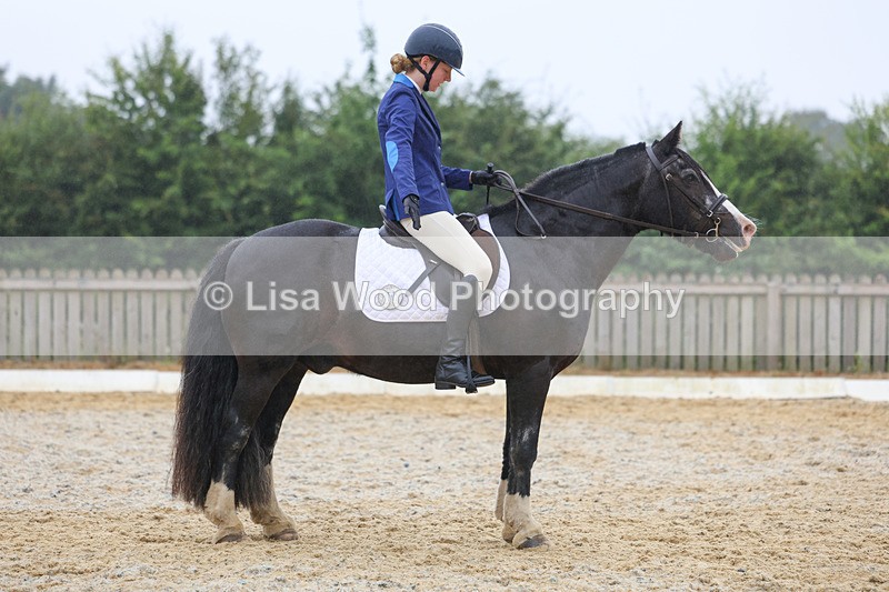 3E7A8438 - Class 2: Intro 3 2024 section B