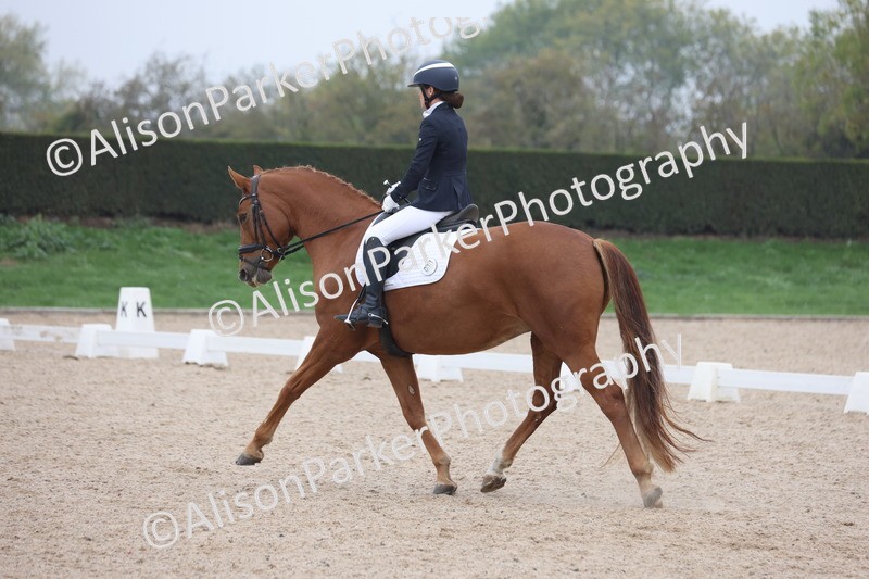 20251012-0647 - Class 5 - Elementary 5