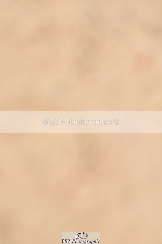 240403A-155410-01058 - Cls 5 Foxhunter and 1.20m Open