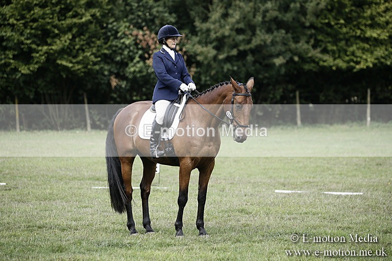 BVR090918 273 - BVRC Dressage and Show Jumping 09/09/18