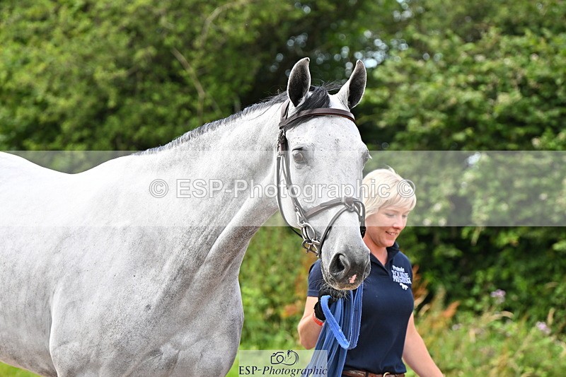 240718A-105236-00904 - Trot Up 11am to 12pm