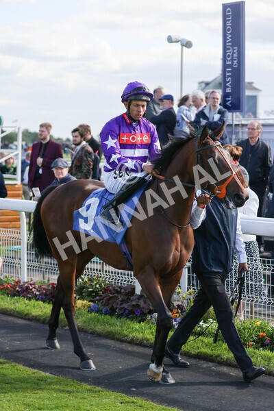 yr12052022r6-6 - Race 6 4.45pm Frank Whittle Partnership EBFstallions.com Maiden Stakes