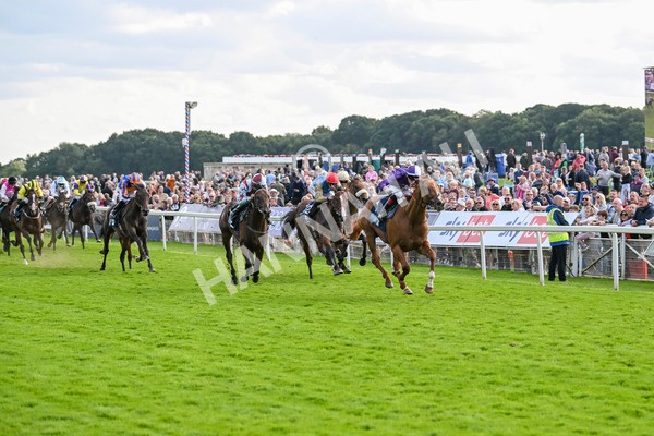 230824-Race 6-Angelo Buonarroti-9872 - Race 6 4.45pm British Stallion Studs EBF Convivial Maiden Stakes