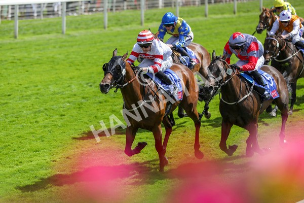 290723-Race 2-Aberama Gold-3824 - Race 2 2.40pm Sky Bet Dash Handicap