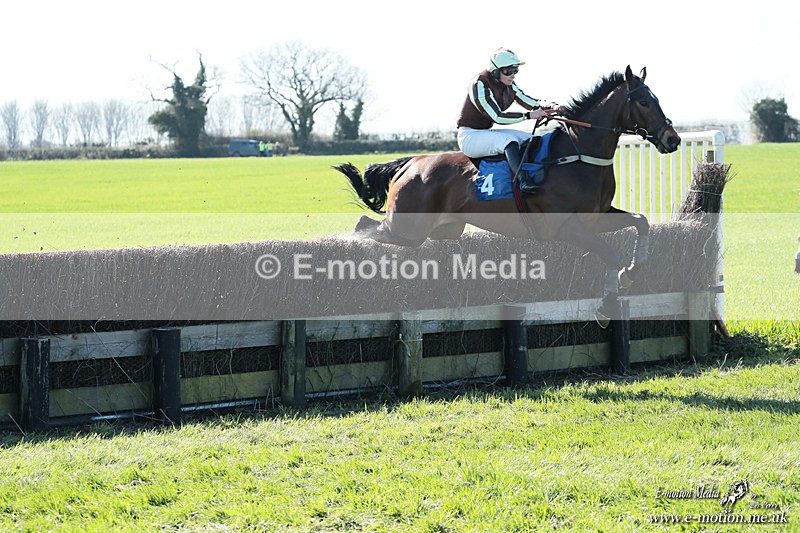 PtP 210326 101 - VWH Cirencester Races 21/03/26