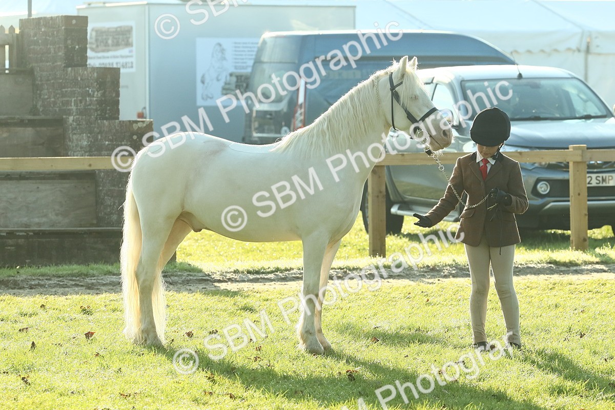 SBM_57380 - S37 - Starters In Hand Showing