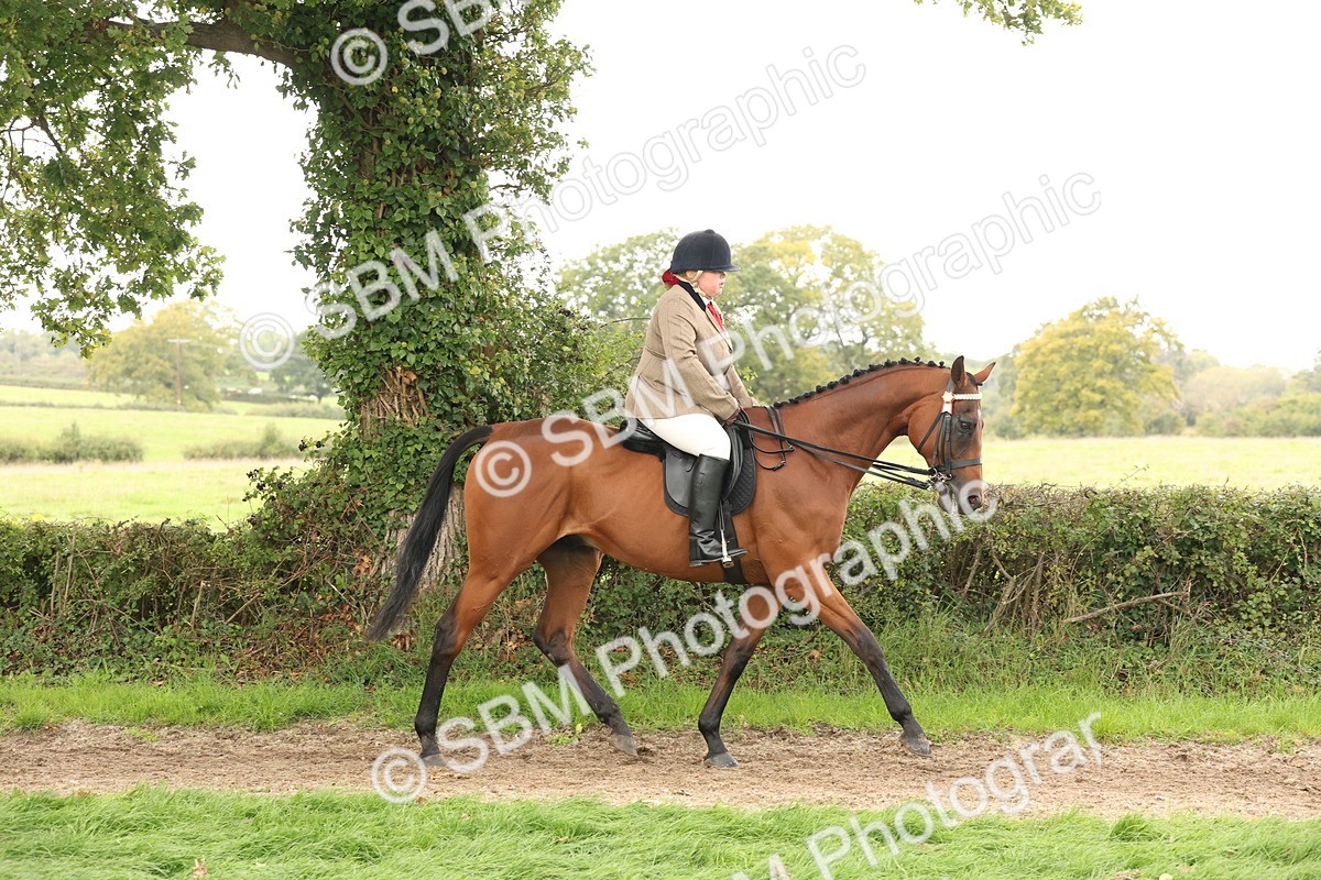 SBM_64182 - S65 - Riding Horse & Hack & Thoroughbred Ridden