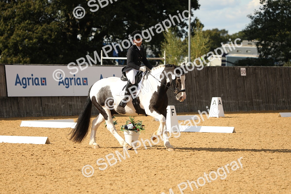 SBM_26699 - D17 - Grand Tour Championship - Novice 27
