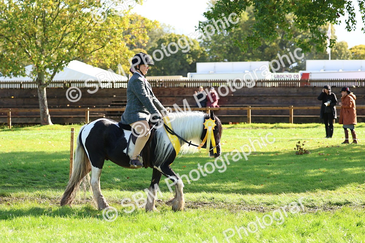 SBM_37410 - Fun Showing Supreme Championship