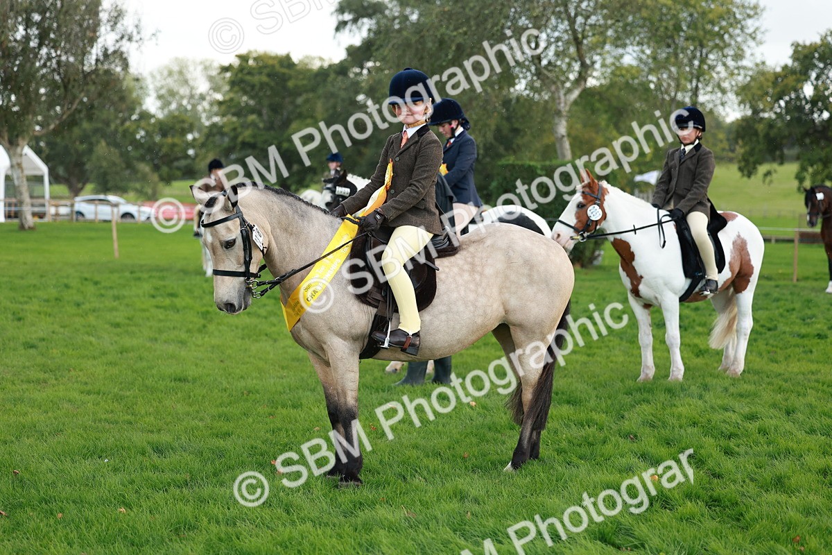 SBM_28866 - S7 - Novice & Newcomer Ridden Pony
