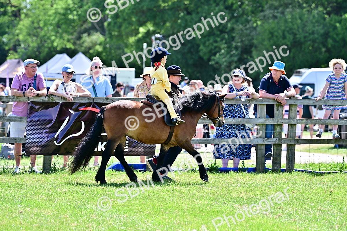 SBM_05778 - Class 59-60 - TSR M&M  Lear Rein and First Ridden Amateur of the year