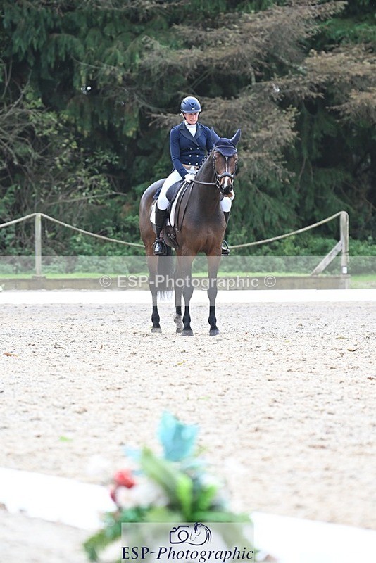 231019-145426-04316 - 057-OVERTON.TILANA'S.GOLD-Claire.Deuten-DR