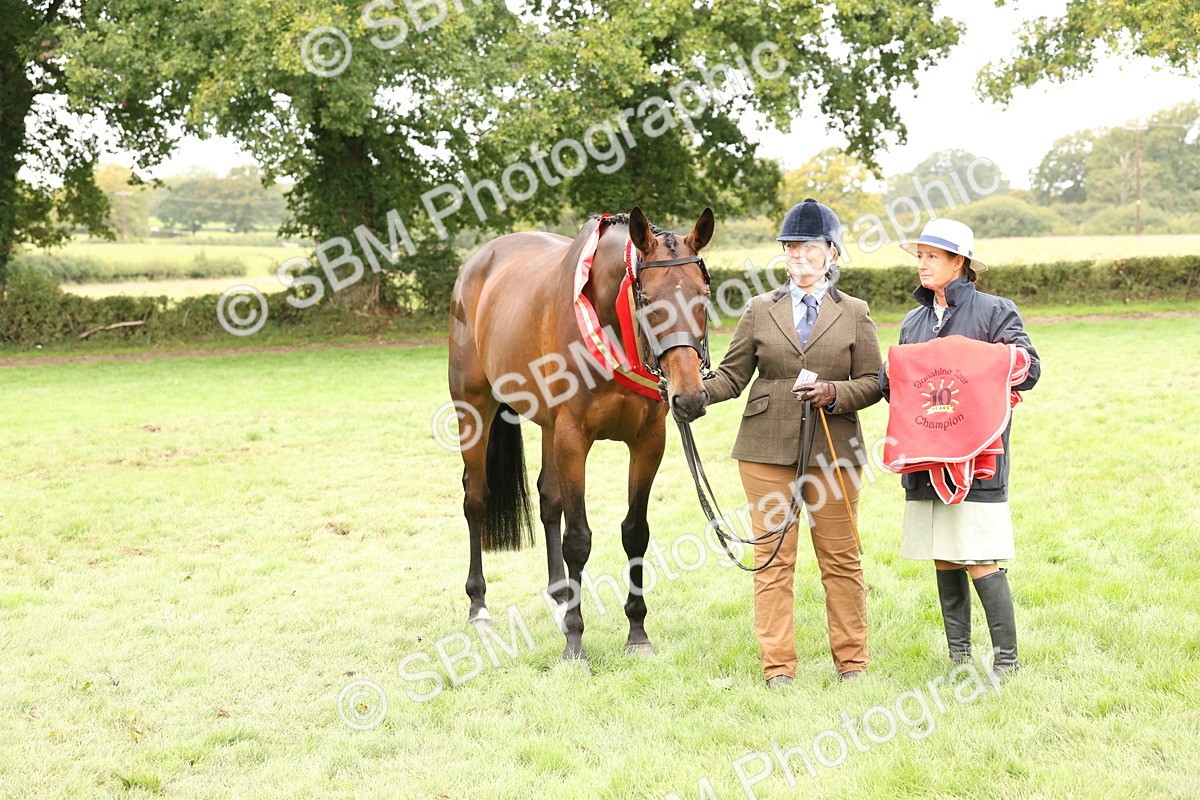 SBM_60864 - In Hand Horse Supreme Championship