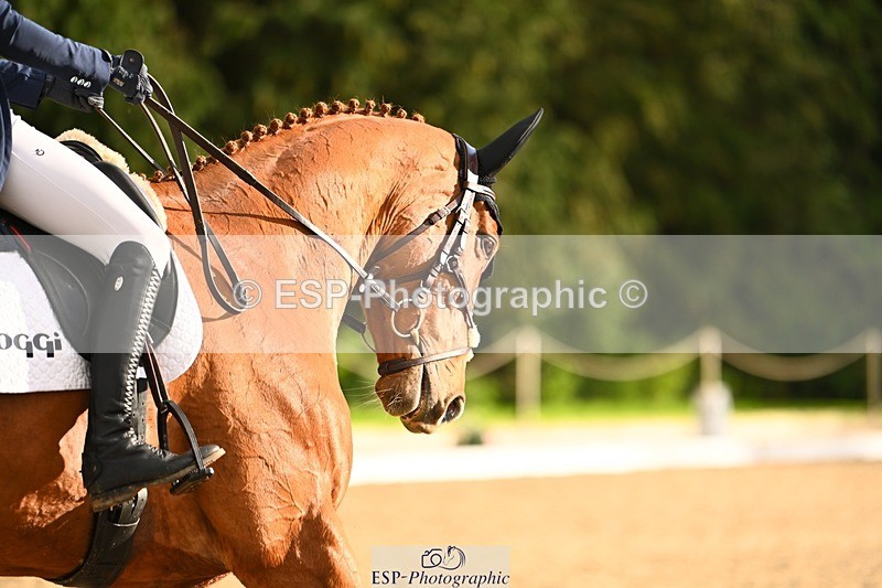 231021-153745-20911 - 260-LIGHTNIN.CONDUCTOR-Angus.Stewart-DR