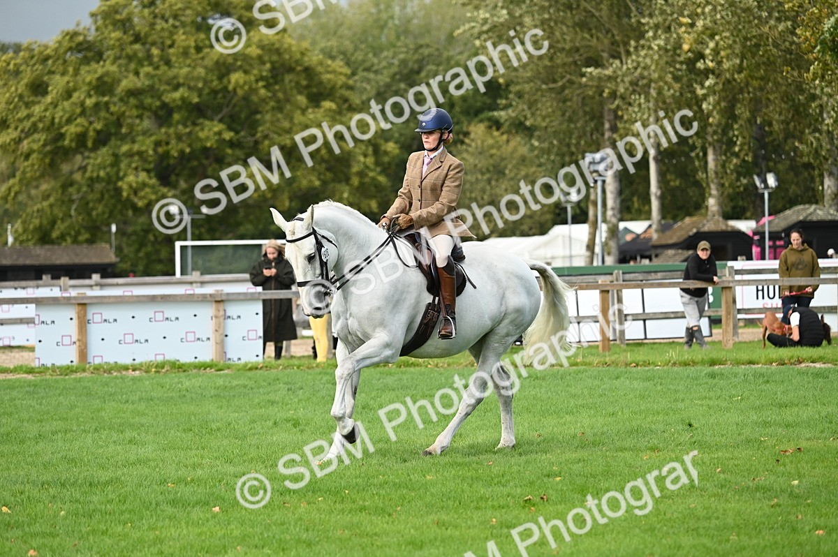 SBM_26394 - S6 - Novice & newcomer Ridden horse