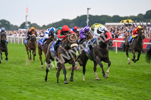 230825-Race 5-Northern Ticker-0752 - Race 5 4.10pm Sky Bet Constantine Handicap