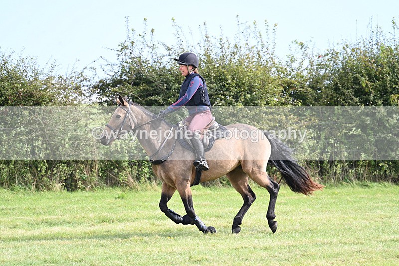 WJ7_6241 - Time 11:29 to 11:45