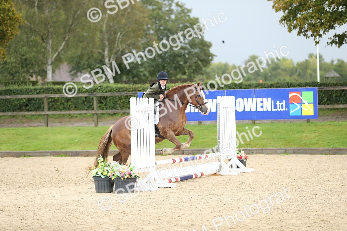 SBM_37187 - J20 - Junior Horse 50cm Championship