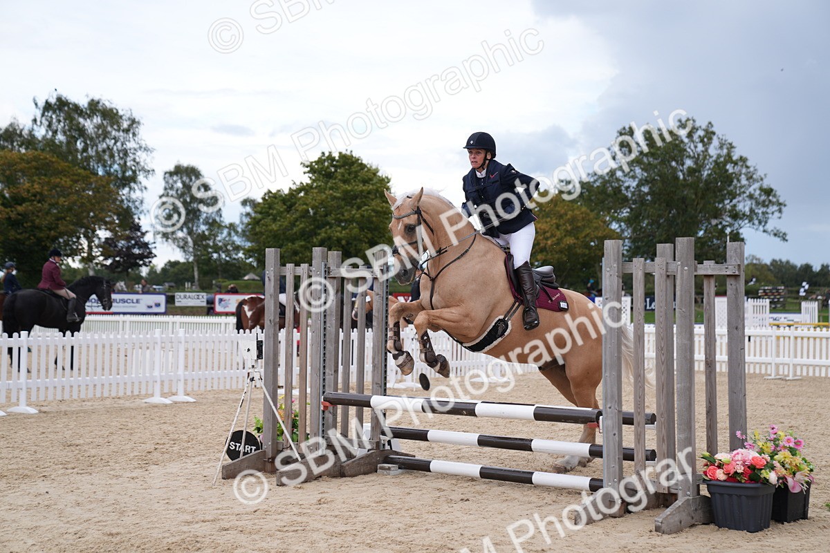 SBM_09263 - J36 Veteran 70cm Championship