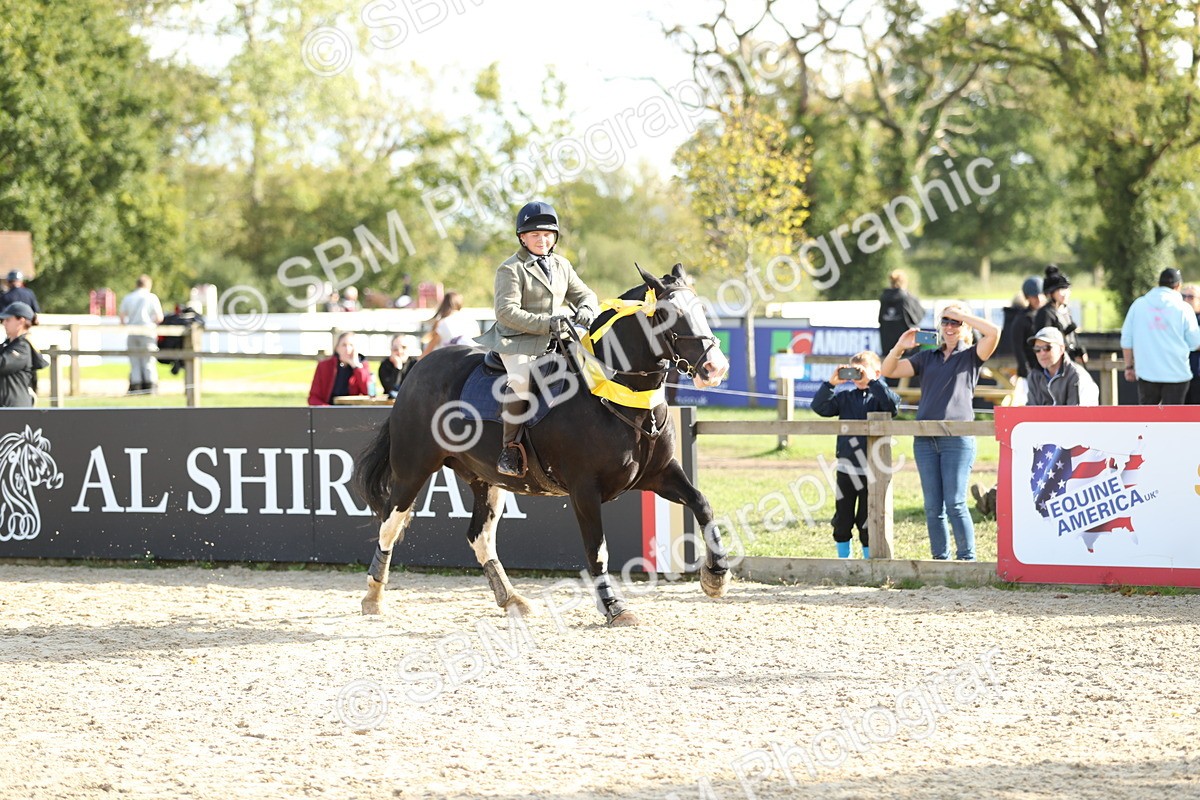 SBM_49673 - J22 - Junior Horse 65cm Championship