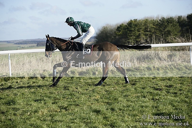 PtP 070118 -306 - Larkhill Racing Club Point to Point Larkhill 07/01/2018