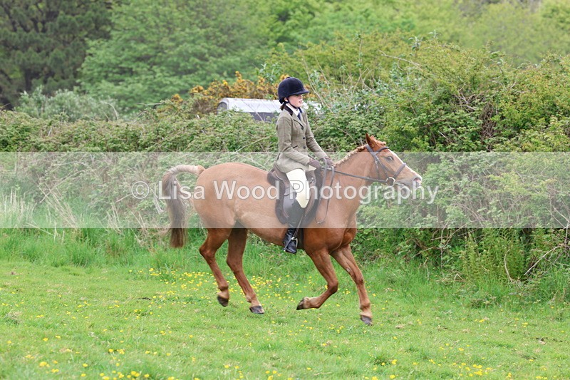 3E7A1768 - Class 9: Riding Club Horse/Pony