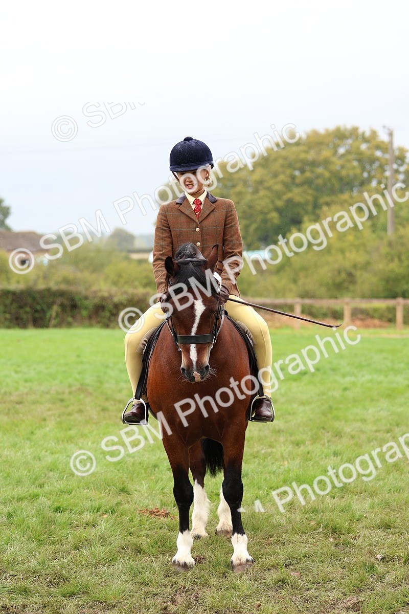 SBM_69629 - S62 - Mountain & Moorland Ridden Large Breeds