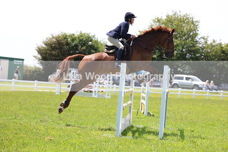 3E7A1266 - Class 12: Senior Foxhunter/1.20 open
